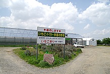 道の駅の横にはいちご狩りができるビニールハウスは併設されている。また、その他季節に応じた農業体験も行っているのも特徴だ。