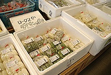 物販コーナーは地元農家の協力による野菜販売がメインだが、その中で注目したいのは餅。米どころだけあって、つきたてのもちが処狭しと並べられている。