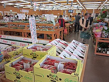 JA大阪南農産物直売所（あすかてくるで）は、農家から集められた新鮮な野菜や果実が販売されています。この道の駅に来る人はまずここに入ってからは他を回ります。