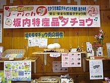 道の駅の特産品のダチョウの肉は、道の駅から南にある旧坂内村の日坂ゲレンデ近くで飼われているダチョウのものです。肉を使った料理がレストランで食べられます。