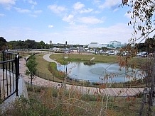 整備されたため池を中心にして道の駅の空間が作られています。駐車場や芝生広場は広く、池の周りのベンチでお弁当を食べている人が多かったです。