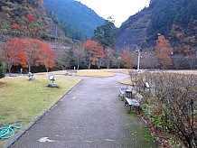 中庭は芝生が植えてあり、川岸には桜があります。周囲の山は植林された吉野杉が多いので、秋の紅葉を見せる樹木は少ないです。