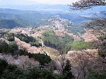 吉野といえば桜で、４月は平日でも沢山の人が訪れます。車で行くのは渋滞で大変ですが、機動性のあるバイクなら中千本の駐車場で止められます。