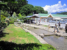 浅い小川なので子供達がここで歓声を上げていました。横の東屋で休憩できるので、安心して子供を遊ばせます。