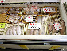 日本海に近いこともあって新鮮な魚貝類が販売されています。冬になれば松葉ガニが店頭に並ぶことでしょう。