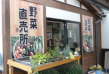 信州といえば豊富な地元産の野菜。道の駅の定番である野菜直売所が設置されている。また寒天大福や富士見高原「飲むヨーグルト」、そばドラ、信州味噌など信州の味覚が陳列されているのも見どころ。