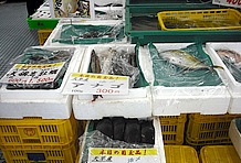 そして外せないのが採れたての海鮮物！ 伊勢エビやアナゴなど旬の鮮魚がところ狭しと並ぶさまは圧巻。「漁師食堂」では海鮮物を使った料理がメニューを埋め尽くしているので、選ぶのに困るかも？