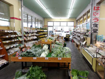 地元、特産の野菜が販売されています。スペースはそれほど広くはありませんが、コンパクトなスペースに種々の野菜があります。値段も安く鮮度も良さそうでした。