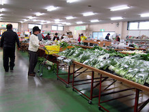 最近の道の駅での野菜の販売はスーパーと同様にきれいにしてあり、葉物野菜では朝採りの雰囲気はしません。土が付いていてるものほど新鮮な感じがするのですが。