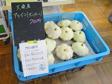 季節によりいろいろな種類の野菜、果物、山菜が並びます。秋口には来訪するとアラジンという名のズッキーニもありますよ。そういえばアラジンの魔法のランプに似ているかも。