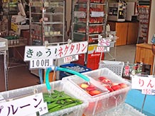 夏はやっぱりこれでしょう！採れたての冷やしトマト、プラム、スイカなど。おいしい空気を吸いながらのフルーツの味は格別。新鮮野菜やソフトクリームの外売店は4月下旬～11月中旬限定。