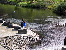 道の駅裏側の河川敷には親水公園が整備されています。夏場は水遊びができ、アヒルが泳いでいて餌欲しさに近寄ってきます。