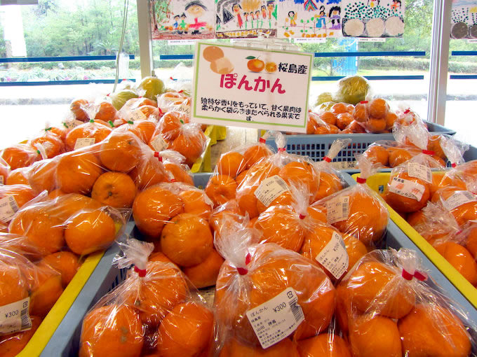 柑橘類は桜島小みかん、不知火（デコポン）、ポンカンを多く見かけました。