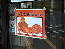 いのしし肉は好みも有りますが結構美味しいです。取材した日は売り切れてました！