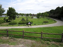 両ヶ池公園には馬場があって５月第２日曜日に草競馬大会が開催されます。運がよければ調教中のシーンにお目にかかれるかもしれません。