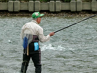 益田市高津町の絶好の鮎釣りの場所、枕瀬附近で鮎釣り（ころがし釣り）に夢中の鮎釣り人。釣果はいかがなものでしょう。