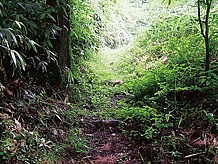 石見銀山で採掘した銀を陸路で瀬戸内海の尾道（広島県）や笠岡（岡山県）へ運んだのが銀山街道。急峻な中国山脈の山越えは大変な苦労であったと予想できる。