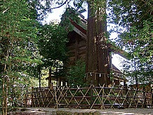 神社の裏側や横を流れる須佐川の辺り一帯がパワースポットと言われるが、御神木の大杉が特にパワーが強いと言われている。