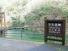 島根県出雲市乙立町立久恵山陰の耶馬溪と言われる 『立久恵峡 （たちくえきょう）』。神戸川 （かんどがわ） の清流に沿って２km、奇岩、柱石、老松の渓谷美は太古の仙境と言われる。国の名勝天然記念物に指定されている。