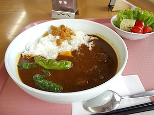 召しませ、地産地消の蝦夷鹿カレー。