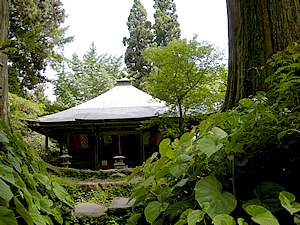 江戸時代初期に建てられたと考えられている本堂。河内長野市の市指定文化財。ヒノキに覆われた本堂は威厳を感じます。