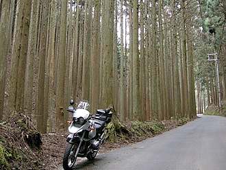 R477の整備されたばかりの美しい北山杉林は絶景。