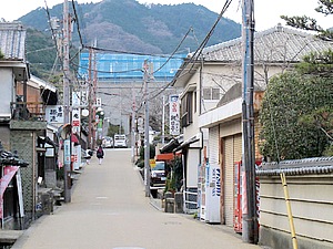 當麻寺への参道。観光地化された神社仏閣と違って、どことなくひっそりとした感じが。山門の屋根は工事中でした。