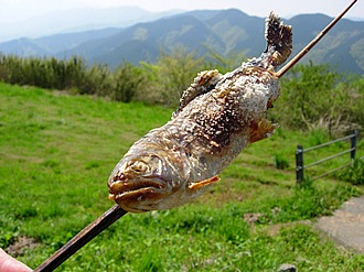 大野山山頂にて岩魚を食す。山開きの日には、山頂で地元の山菜や農産物、川魚の串焼き、シカ汁の即売などが行われている。