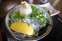 釜揚げと生のしらすが盛られたしらす丼。あつあつのご飯との相性がバツグンです！ 是非ご賞味ください！