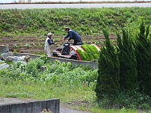 ５月の連休は田植えの最盛期。農道を走ると、たくさんの田植機が働いているのが見えます。農道の上には、田植機や耕耘機が落とした土、泥もたくさんあります。農業機械優先で走るのがマナーですね。