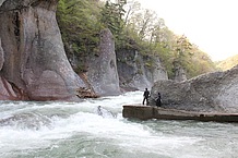 前日までかなりの雨が降っていたので、やっぱり増水していました。ドゥドゥと音を立て、巨大な水流が逆巻くそのすぐそばに滝見物のルートが！ペンキで描かれた線より水辺に近づいてはいけないそうで……。そりゃ近づきませんよ！ 水流を見ているとクラクラするほど。結構怖い。