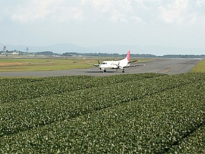 茶畑を抜けるとそこは空港だった――。こういうシチュエーションは想像していなかったから、すごく感動しました。奇妙な場所ってあるもんですね。