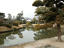 桜の名所、桜岡がある小城公園は小城藩主所縁の地であり市民の憩いの場所になっています。