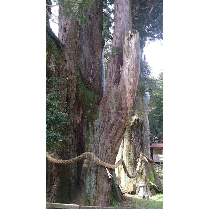 高知県中央部山間ツーリングの画像