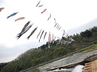 最上川に造成された国内でも最大級のヤナ場。その上空には200匹あまりの鯉のぼりが泳ぐ。ヤナ漁が解禁となる8～10月には実際に漁を体験することができる。
