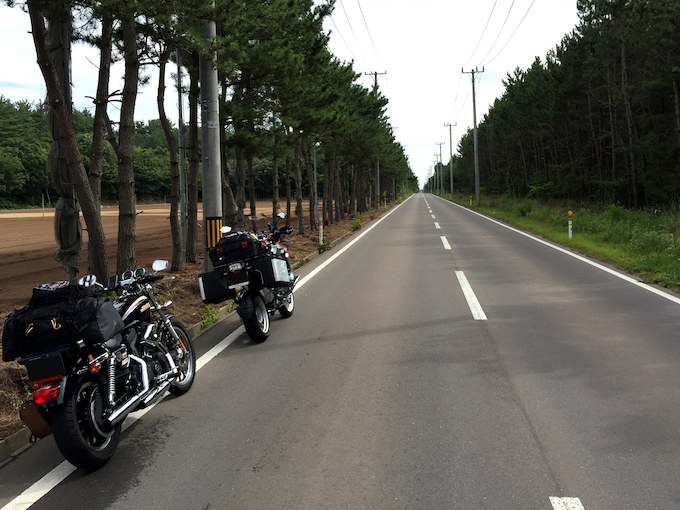 龍飛岬と岩木山の画像