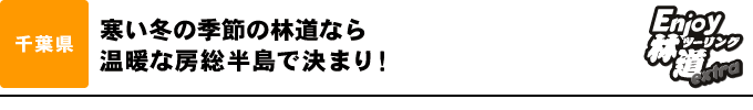 寒い冬の季節の林道なら 温暖な房総半島で決まり！