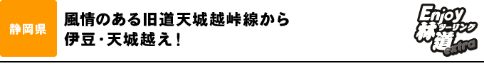 風情ある旧道天城越峠線から伊豆・天城越え！