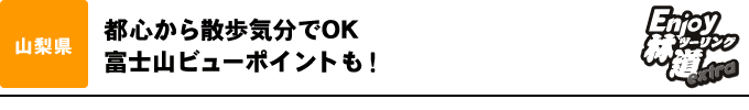 都心から散歩気分でOK 富士山ビューポイントも！