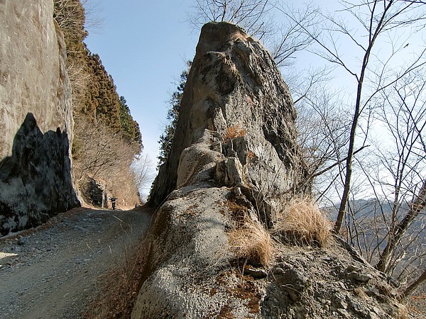 登山でも人気の林道大名栗線。林道の途中、左斜面で登山者が手を振っていた、私も走りながら手を振って挨拶をする。ともに自然の中で、遊ばせてもらっている。名栗の山が、そして自然が好きという気持ちはいっしょだ