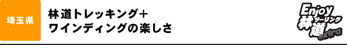 林道トレッキング＋ワインディングの楽しさ