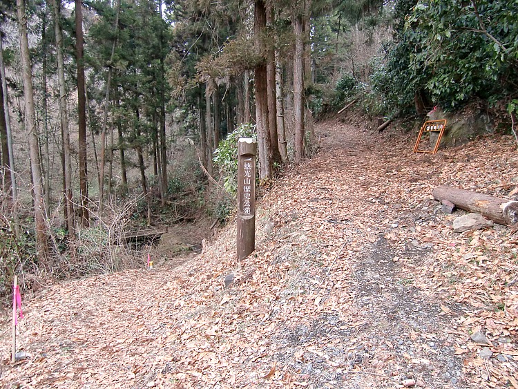 この「桃山線」は、熊野古道の荷坂峠に似て雰囲気がよかった。慈光山方面に抜ける分岐もあるが、遊歩道のようだ