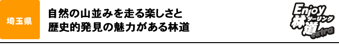 埼玉県「林道城峰奈良尾線 ～ 林道新美の山線」