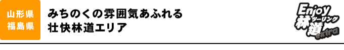 みちのくの雰囲気あふれる壮快林道エリア