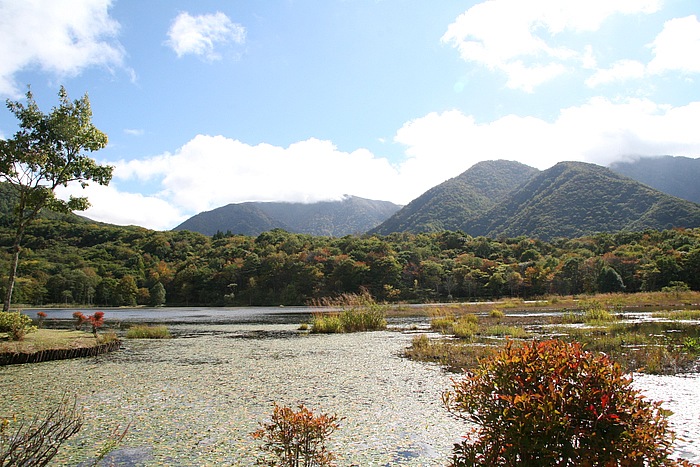 「観音沼」は「観音沼森林公園」の中にある景勝地。沼に浮島が浮かび、桜、もみじなどが自生。新緑と紅葉の時期には沼の周遊道のどこからも美しい風景を見ることができる。国道289号に「観音沼森林公園」の案内標識有り