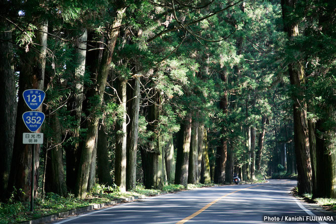 日本の絶景100選 日光杉並木（栃木県）の画像