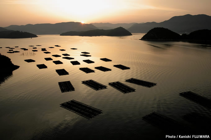 日本の絶景100選 岡山ブルーライン（岡山県）の画像