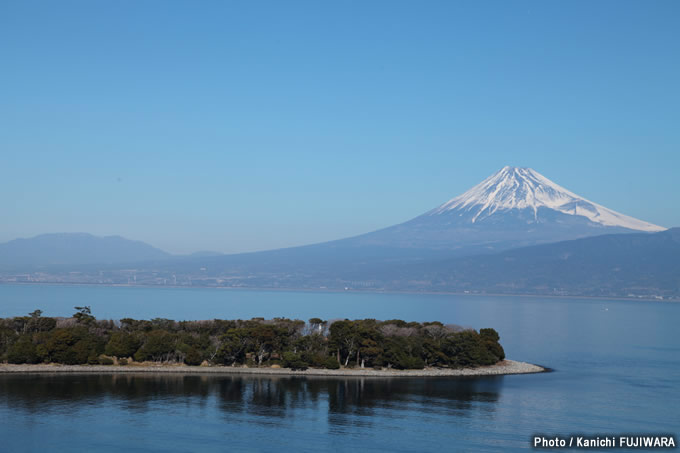 日本の絶景100選 大瀬崎（静岡県）の画像