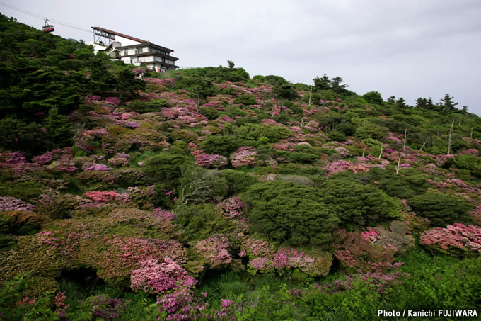 日本の絶景100選 雲仙（長崎県）の画像