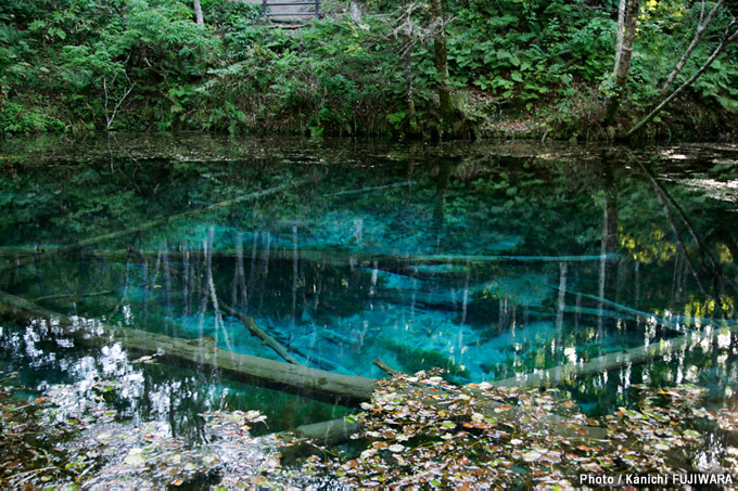 日本の絶景100選 神の子池（北海道）の画像